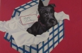 Black Scottie dog birthday present