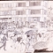 Continental Bank