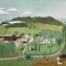 Grandma Moses Goes to the Big City