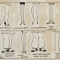 A Hosiery Manufacturer Says There Are Only FOUR Types of Feminine Legs!