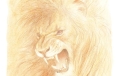 The Lion