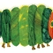 Illustration for The Very Hungry Caterpillar
