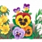 Garden Flowers