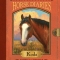 Horse Diaries: Koda