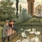 The Swans