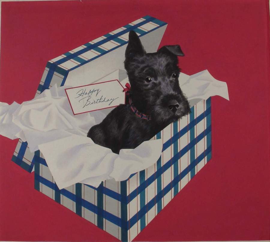 Black Scottie dog birthday present