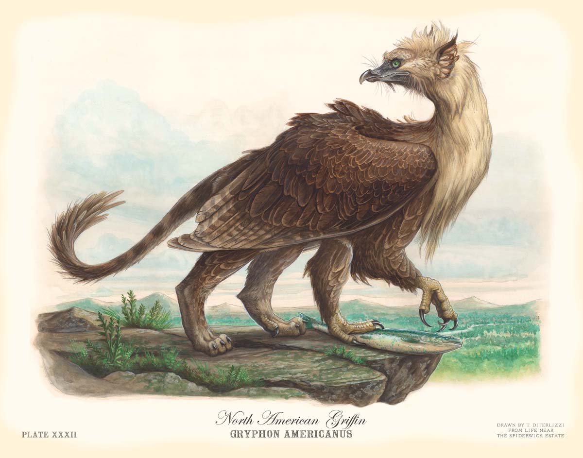 North American Griffin (Gryphon americanus)