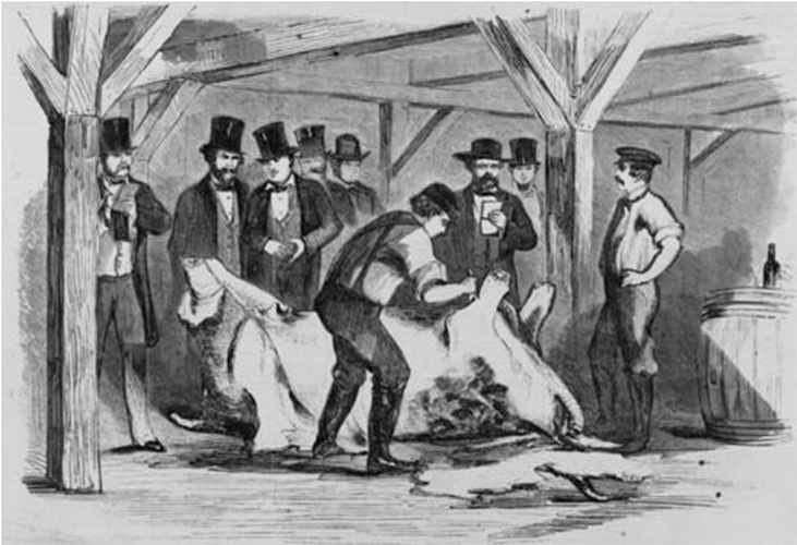 Thomas Nast: The Rise and Fall of the Father of Political Cartoons - Illustration History Thomas Nast: The Rise and Fall of the Father of Political Cartoons - Illustration History