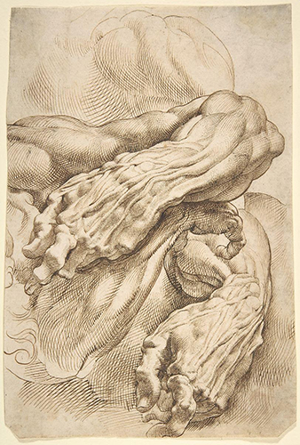 https://www.illustrationhistory.org/images/uploads/Rubens_anatomy1.jpg