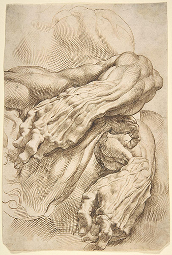 How Is a Drawing Made? The Metropolitan Museum of Art