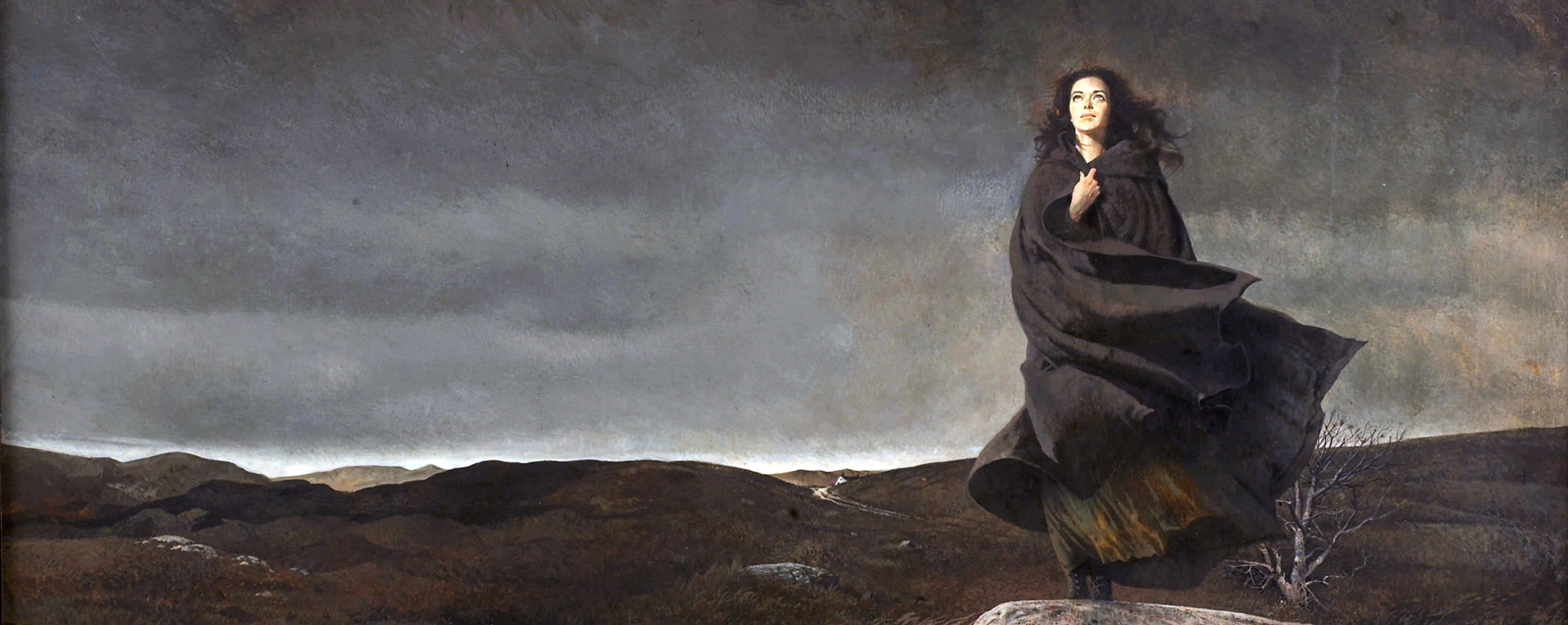 Robert McGinnis - Wuthering Heights