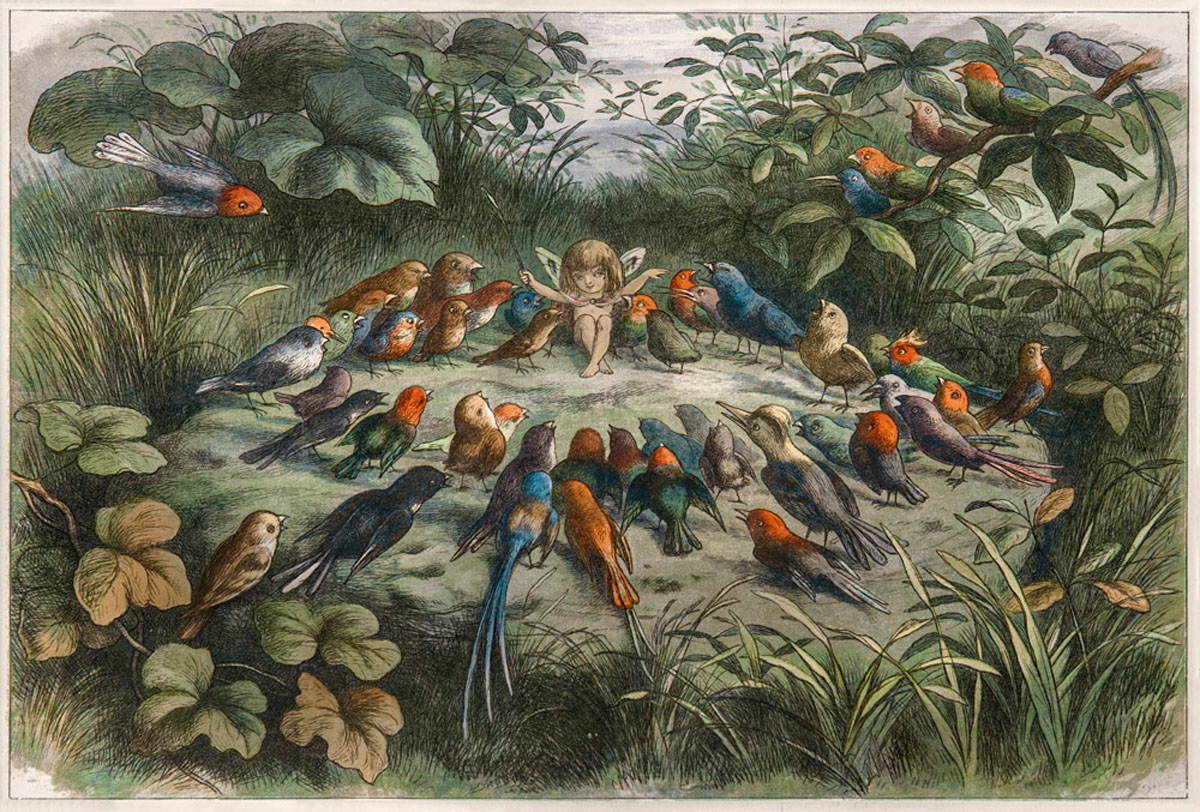 Rehearsal in Fairyland, Musical Elf teaching the Young Birds to Sing